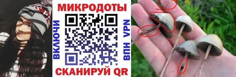 маркетплейс клад Облучье Галлюциногенные грибы мицелий